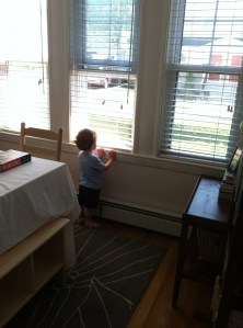 looking at the birds