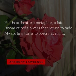 Anthony Lawrence_My Darling Turns to Poetry at Night